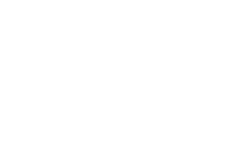 Bellwether Enterprise Foundation